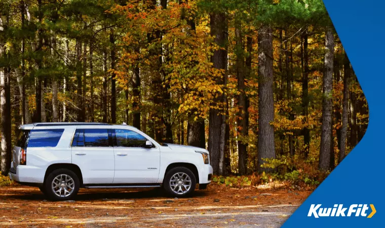 A white SUV is parked among trees in a forest.